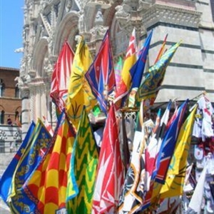 A photograph of the Duomo di Siena with flags in front of it, each representing a different contrada.