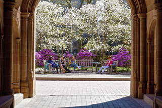 Scenic shot at Yale